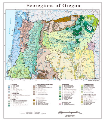 Level III and IV Ecoregions of Oregon--page size