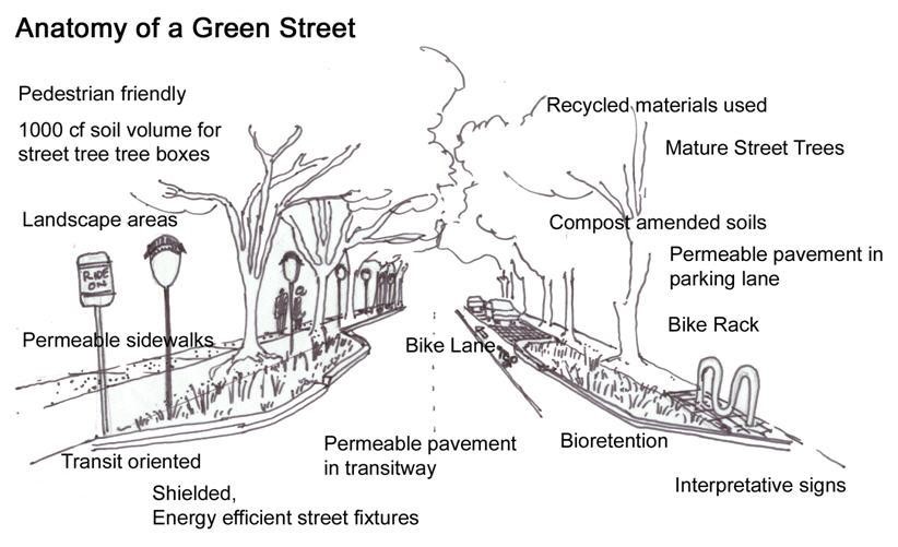 Graphic showing all the elements of a green street.  The graphic shows a street with bioswales and street trees that include elements such as permeable sidewalks, bike lanes, landscaping areas, large trees, educational signs and efficient and safe lights