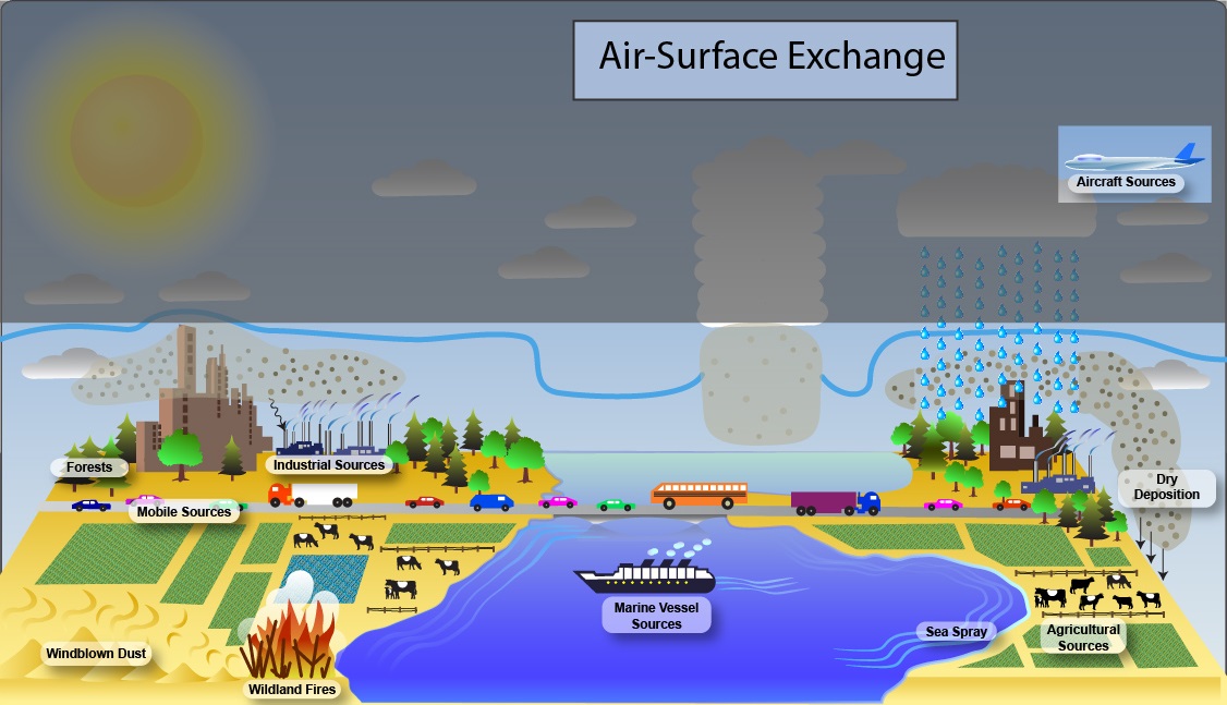 Illustrations showing the various air-surface processes that are captured in the CMAQ model system