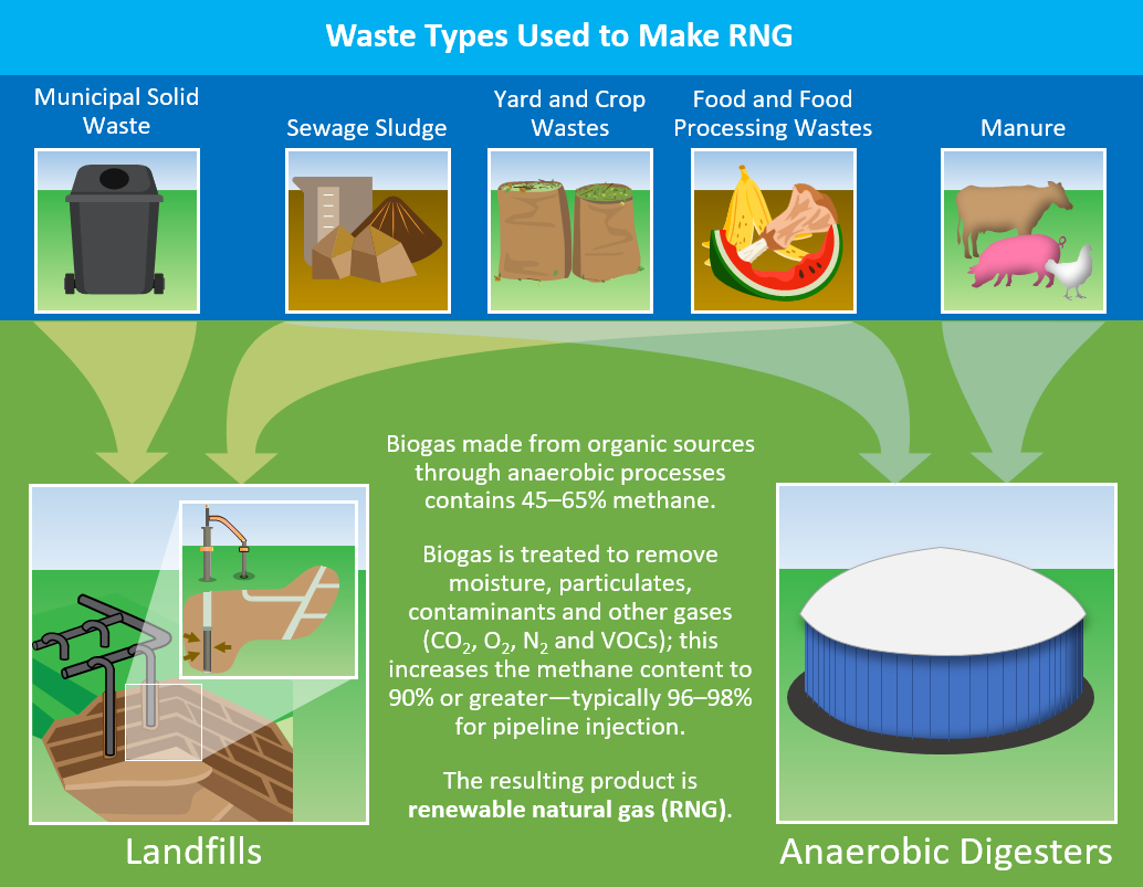 Diagram shows organic waste types deposited in landfills or anaerobic digesters. Both processes create biogas containing 45% to 65% methane. Biogas is treated to create renewable natural gas with methane content of 90% or greater.