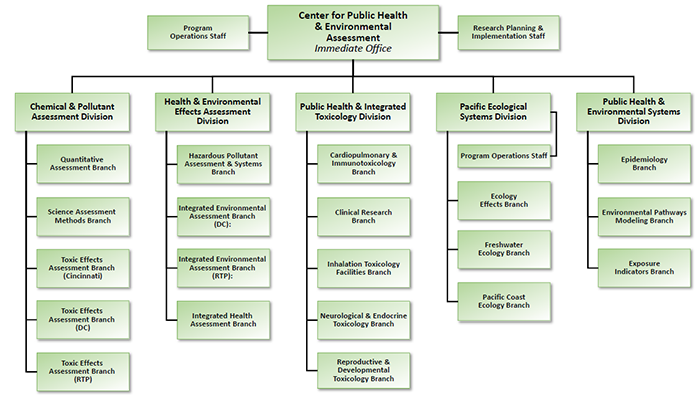 Organization Chart for the Center for Public Health and Environmental ...