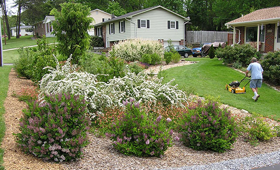 Eco Friendly Landscaping Materials & Tips For Landscape Designers