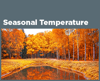 Comparison: What Happens To You At Different Temperatures 