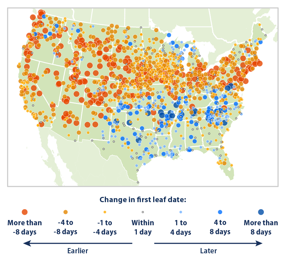Map showing the change in first leaf dates at weather stations across the contiguous 48 states. This map compares the average first leaf date during two 10-year periods: 1951-1960 and 2011-2020.