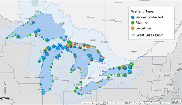 map of the distribution of barrier-protected, lacustrine, and riverine coastal wetlands