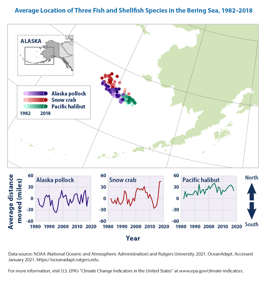 Climate Change Indicators Marine Species Distribution Us Epa