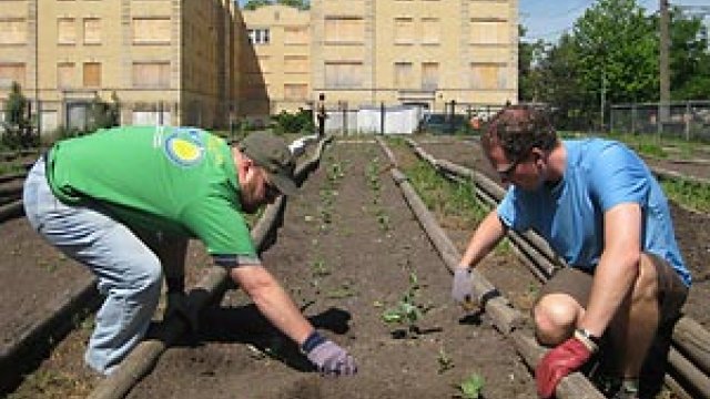 two men work in a raised garden bed in an urban setting