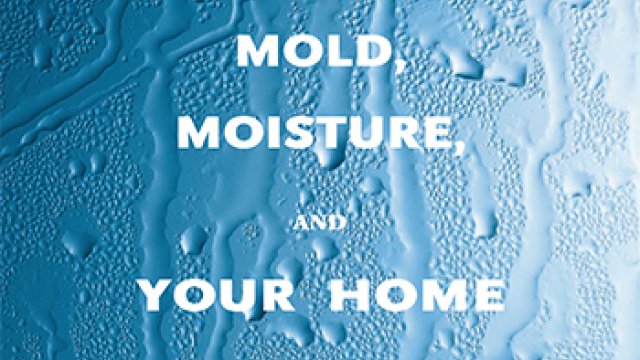 Mold Guide