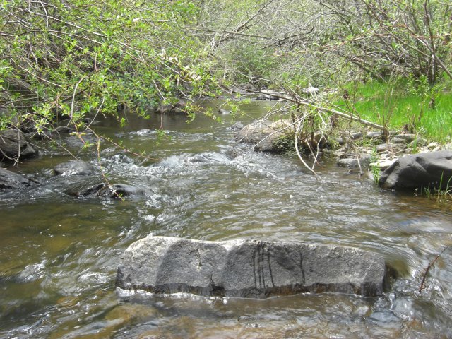 Feeder Stream — The Living River