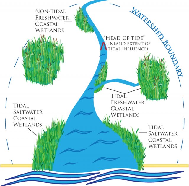 PDF) Ecosystem service value assessment for constructed wetlands