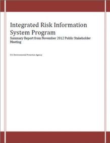 Cover of the Final Summary Report from the IRIS Stakeholders Engagement Meeting Nov 2012