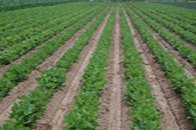 Photograph of herbicides, which illustrates wildlife and environmental areas for incident reporting.