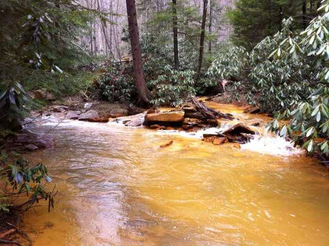 New Forest rivers 'being treated like open sewer' by water firm