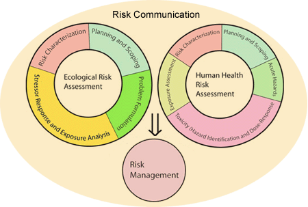 Risk communication diagram