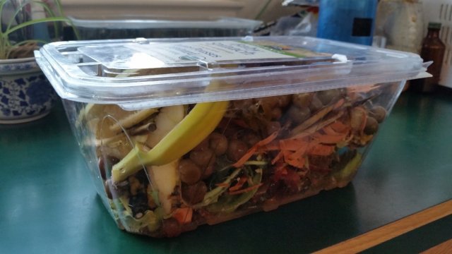 What's in the plastic tub? It's a worm box -- and here's why every