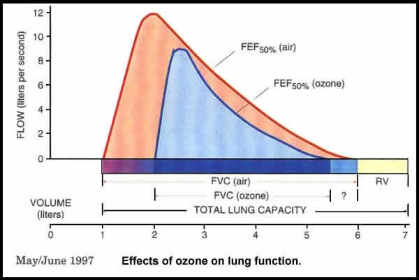 Potential of ozonated-air (OA) application to reduce the weight