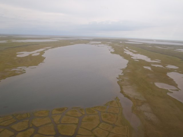 Photo from an airplane looking down at multiple natural lakes in Alaska