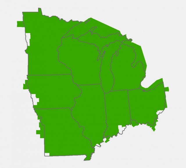 Green midwest Midwest Green