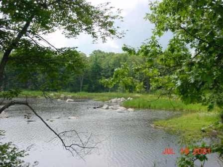 A photograph facing east showing the remediated and restored 5.5-acre Eastern Wetland. 