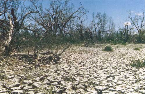 Drought and conservation measures