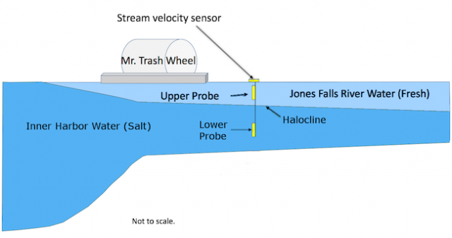 Jones Falls sensor placement in relation to the halocline.