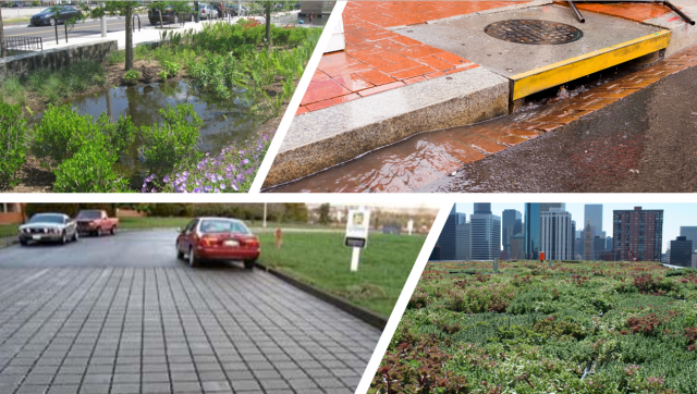 urban green space stormwater