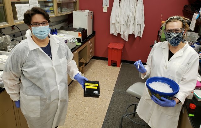 EPA researchers Rachel Grandstaff and Lindsay Wickersham prepare an experiment for the SARS-CoV-2 salivary antibody assay project.