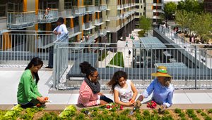 Via Verde Rooftop Gardens