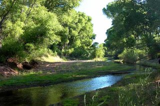 San Pedro River, Arizona