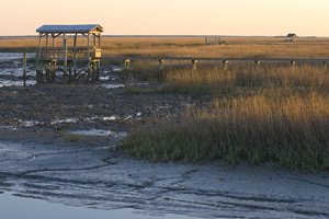 saltwater wetland