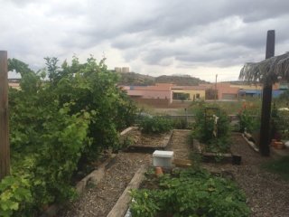 Many Hands Urban Farm and Learning Center in Ajo, Arizona