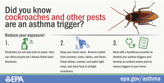 Thumbnail of cockroaches and pests infographic