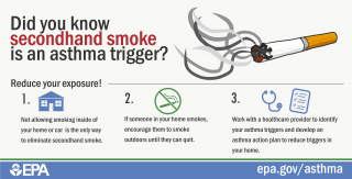 Thumbnail of secondhand smoke infographic