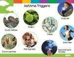 air poster - asthma triggers