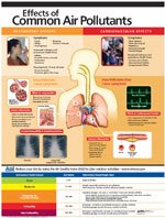 A brochure showing air pollutants' effects on the lungs.