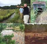 Collage of photos of restorative efforts at Childs River