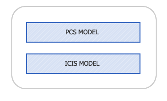 ICIS Model
