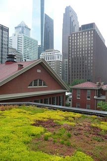 Green Roofs