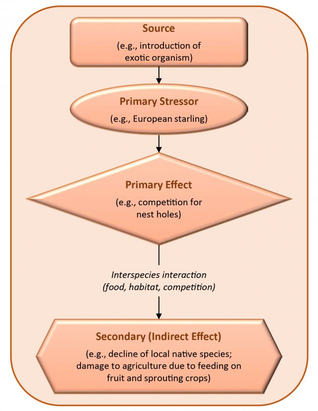 epa-ecobox-tools-by-stressors-biological-epa-ecobox-a-toolbox-for