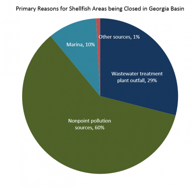 Shellfish Harvesting | Health of the Salish Sea Ecosystem Report | US EPA