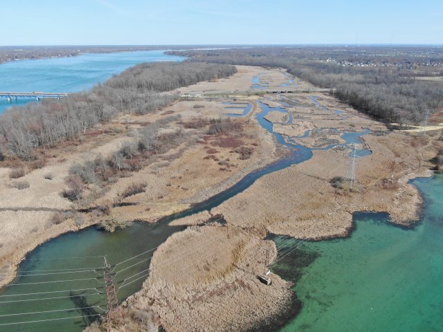 La photo montre la vaste zone humide du parc d'État de Buckhorn Island. Le ruisseau Burnt Ship est l'accès à cette zone humide depuis la rivière Niagara. Image reproduite avec l'aimable autorisation du NYSPRHP