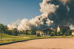 Wildfire smoke billows in the sky behind a row of suburban houses