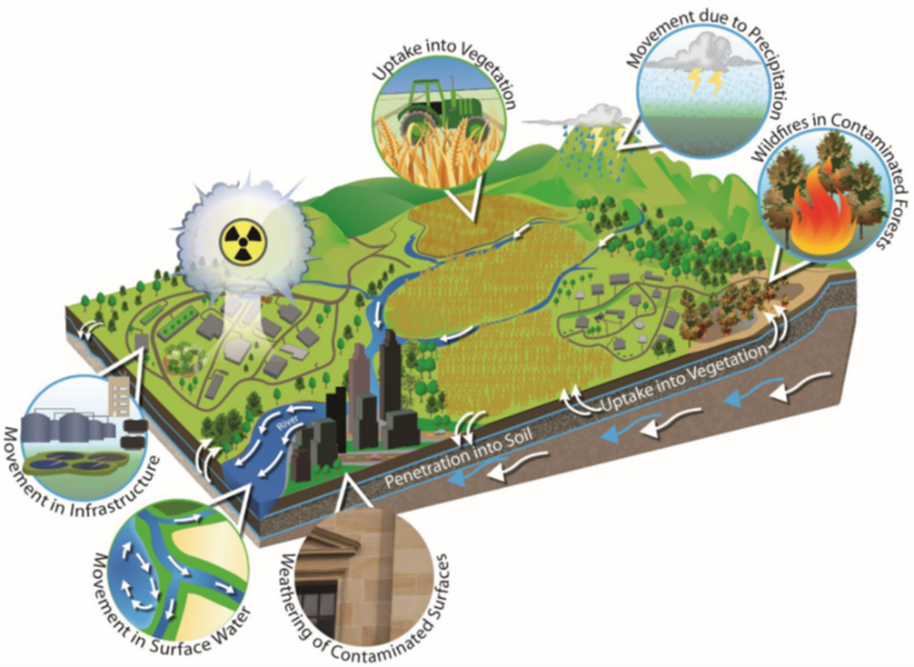 Radiological contaminants can travel throughout the built and natural environment