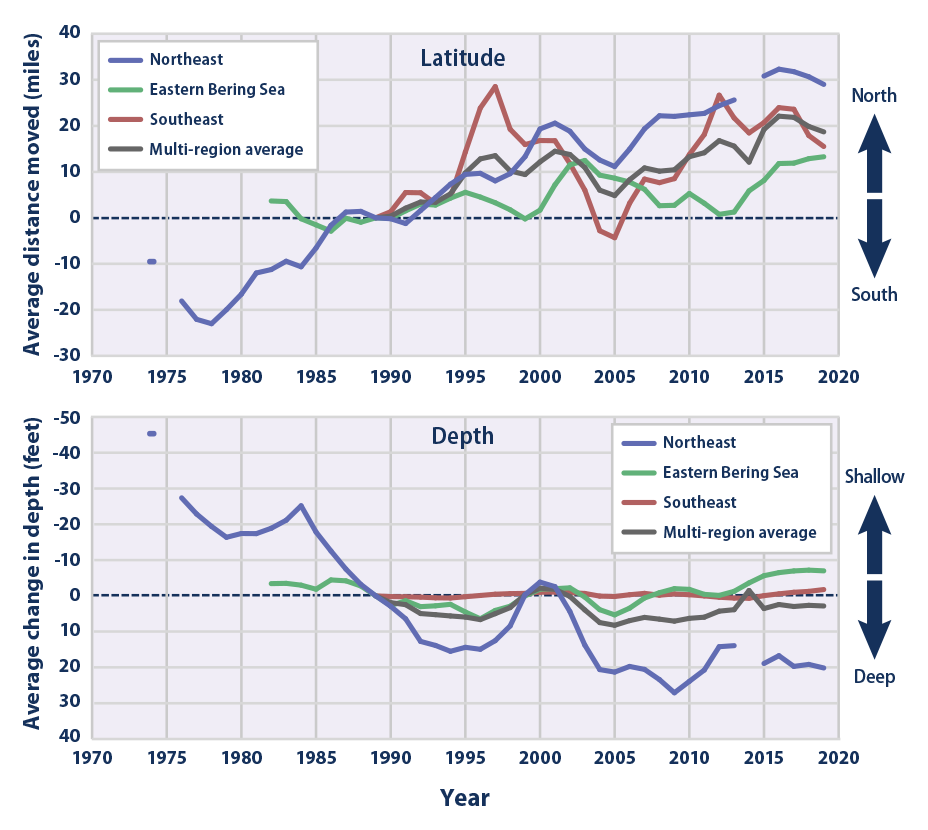 Line graphs showing the change in latitude and depth of marine species for two locations and a multi-region average from 1973 to 2019.