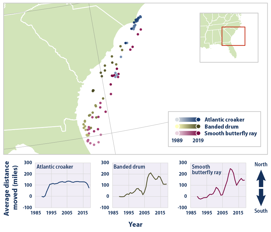 Map and line graphs showing the average location of three fish and shellfish species in the Southeast from 1989 to 2019.