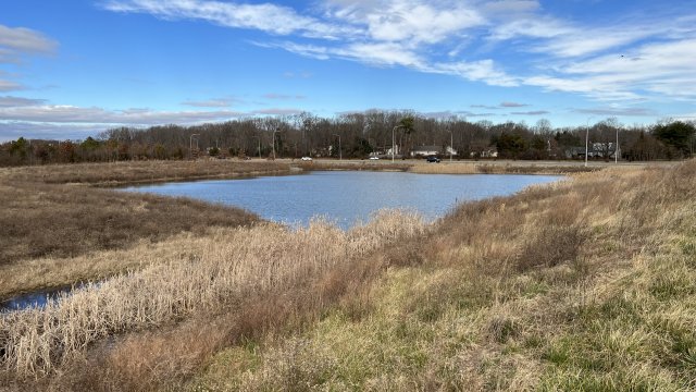 Stormwater pond in Delaware