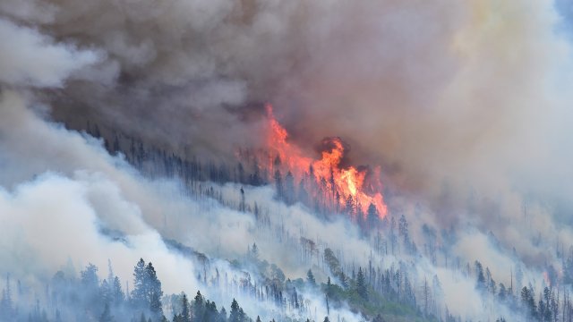 Manning Fire, flames and smoke on the side of a forested hill