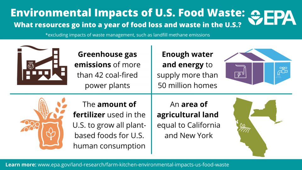 The more I learn about the sustainability of the products I use