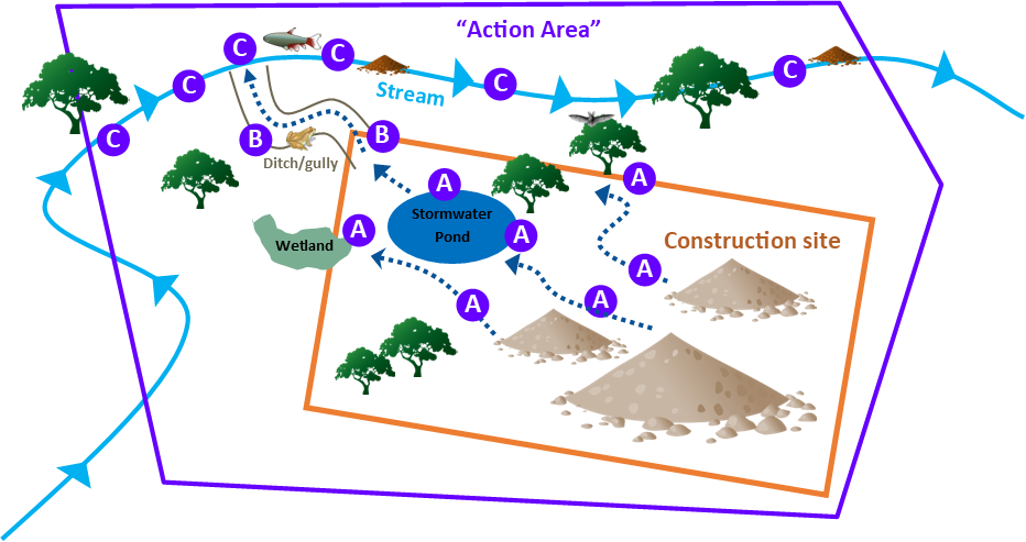 Example of an “Action Area” with respect to requirements under EPA’s Construction General Permit (CGP) for protection of Endangered Species Act (ESA)-protected species and critical habitat