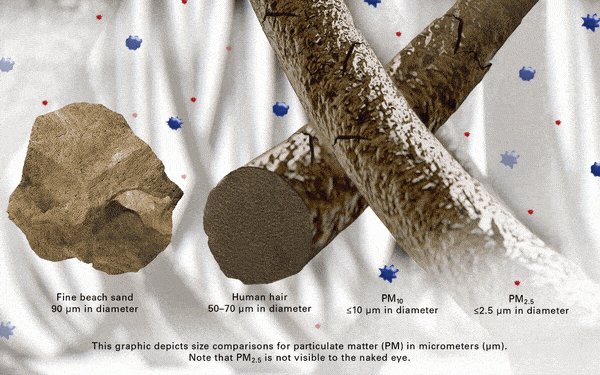 image of different sizes of particulate matter